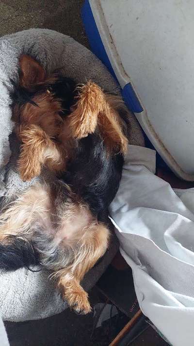 Fotowettbewerbe-Beitrag-Bild