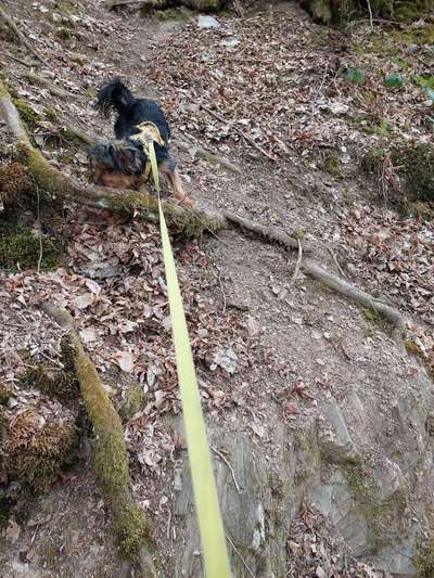 Hundeauslaufgebiet-Weinähr bei Nassau-Bild