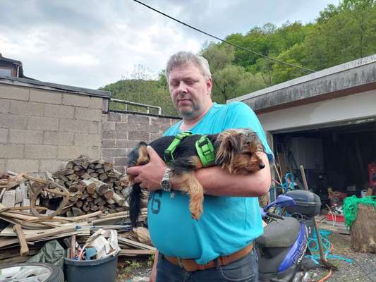 Im Restaurant kann mein Hund nicht ruhig bleiben-Beitrag-Bild