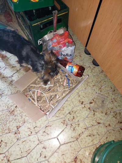 Beschäftigung und Ideen-Beitrag-Bild