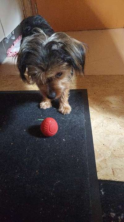 Beschäftigung und Ideen-Beitrag-Bild