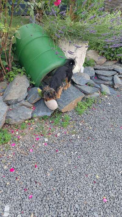 Verzicht oder doch Gewinn?-Beitrag-Bild