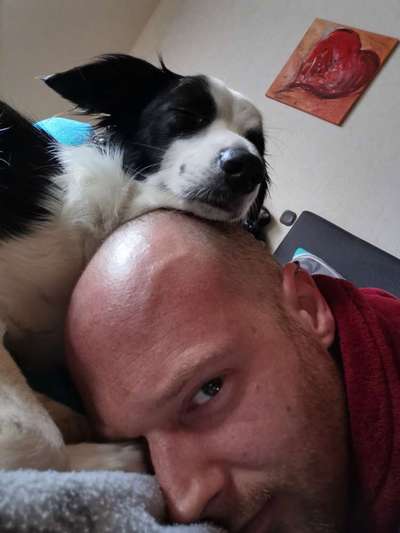 Challenge 33 - Du und dein Hund-Beitrag-Bild