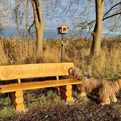 aktuelles Foto Gruppe Wandern und Outdoor