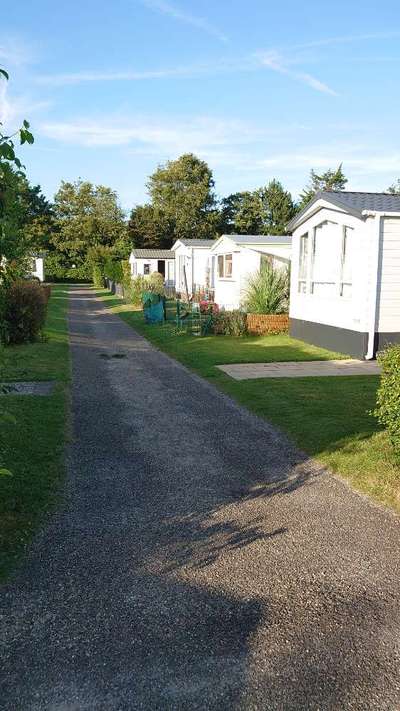 Hundestrand Niederlande-Beitrag-Bild
