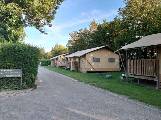 Hundestrand Niederlande-Beitrag-Bild