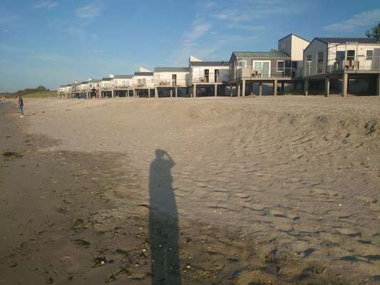 Hundestrand Niederlande-Beitrag-Bild