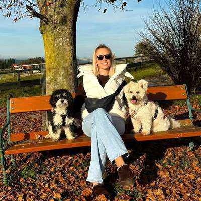 Hundetreffen-Gemeinsam Gassi-Profilbild