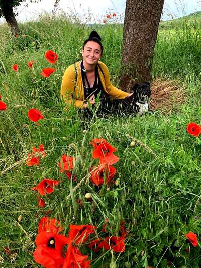 Die Dogorama Kalender Challenge Teil 3/4-Beitrag-Bild