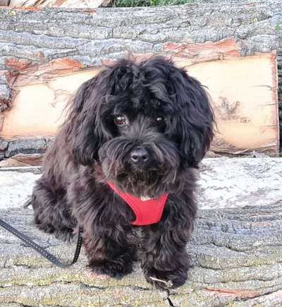 Doppelgänger gesucht !-Beitrag-Bild