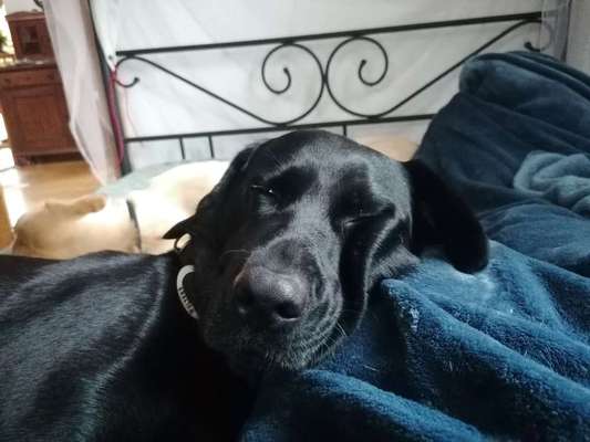 Die unbequemsten und lustigsten Schlafpositionen-Beitrag-Bild