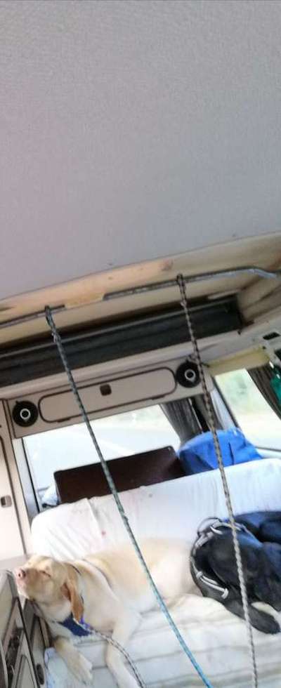 Die unbequemsten und lustigsten Schlafpositionen-Beitrag-Bild