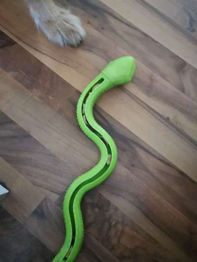 Tabletten geben klappt nicht-Beitrag-Bild