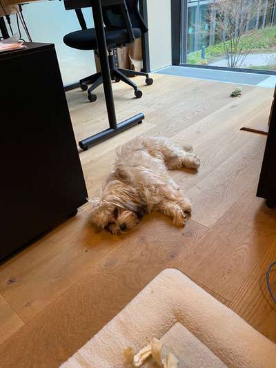 Zeigt her...-Beitrag-Bild