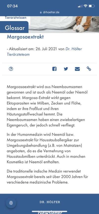 Bravecto-Beitrag-Bild