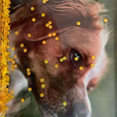 Giftköder-Mehrere Häufchen von weißem Zeug-Bild