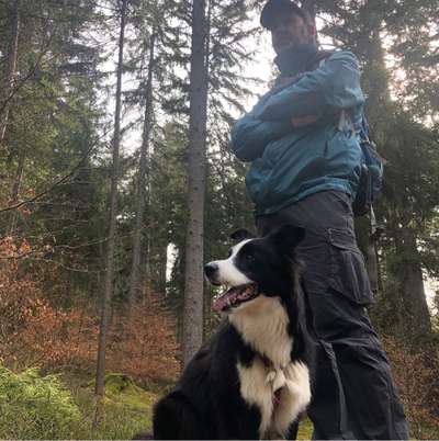 Hundetreffen-Gassirunde in Hörselberg-Hainich