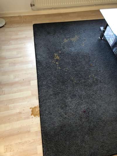 Durchfall-Beitrag-Bild