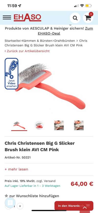 Alles rund um den Pudel-Beitrag-Bild