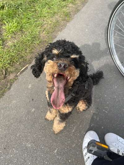 Handyfoto challenge Nr. 13: Waschlappen raus!-Beitrag-Bild