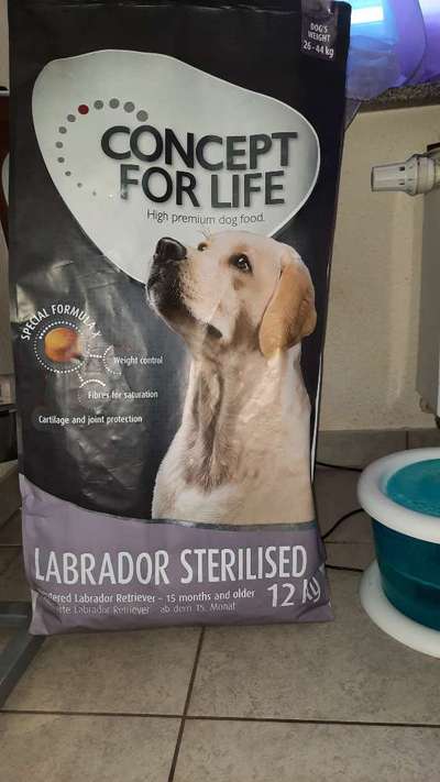 Hündin wird dünner trotz hoher Futterrate-Beitrag-Bild