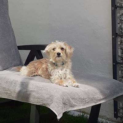 Fotochallenge 37- Sommerfeeling-Beitrag-Bild