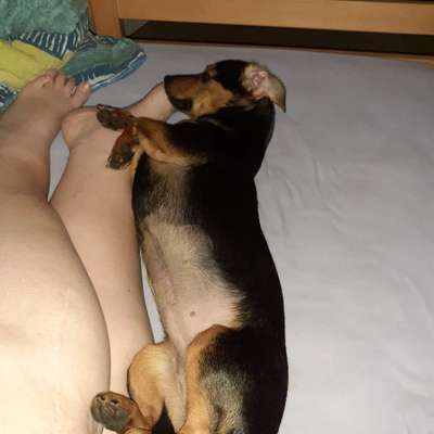 Challenge Nr 14
Eure Fellnasen auf ihrem Lieblingsplatz-Beitrag-Bild