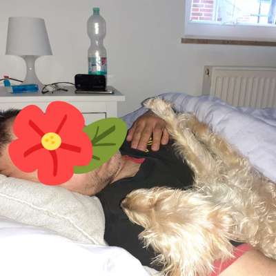 Challenge Nr 14
Eure Fellnasen auf ihrem Lieblingsplatz-Beitrag-Bild