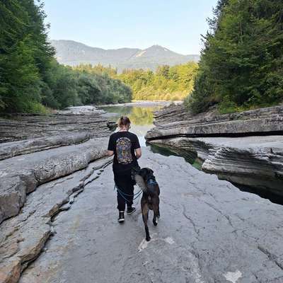 Morpheus's Profilbild