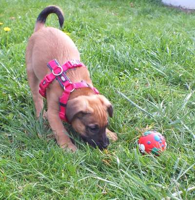 Fotowettbewerb-Beitrag-Bild