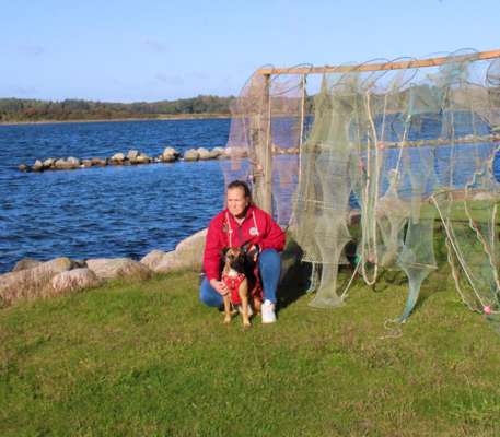 68. Handy Foto Challenge: "Ins Netz gegangen"-Beitrag-Bild