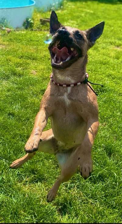 20. Handy -Foto-Callenge-Beitrag-Bild