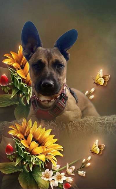 Photoshop und Co.-Beitrag-Bild