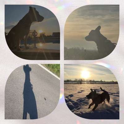 54. Fotocollagen Challenge: Silhouette-Beitrag-Bild