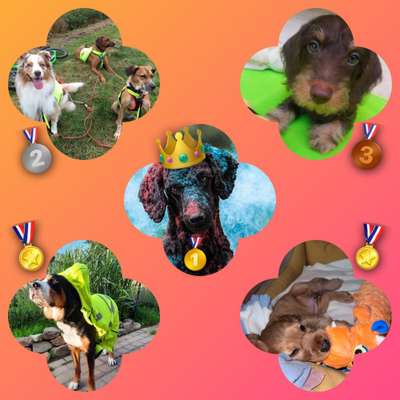 21. Farben / Foto Challenge - Neon / Leuchtfarben-Beitrag-Bild