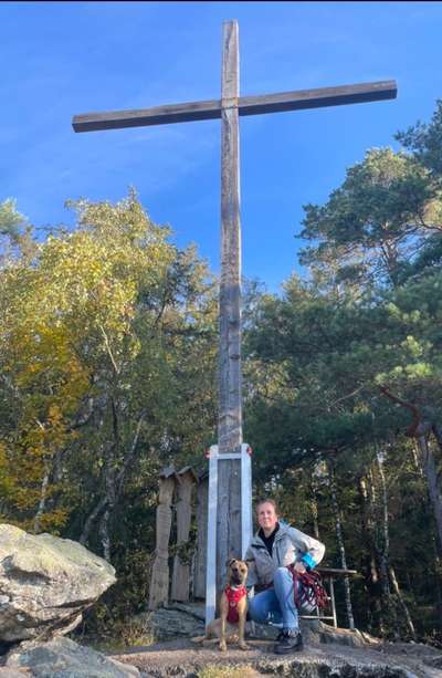 Dogorama Photo Challenge - Tierischer Urlaub-Beitrag-Bild