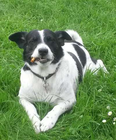 149. Foto Challenge: Wer ist hier der Boss!-Beitrag-Bild