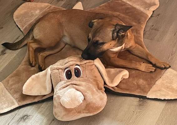 Ton in Ton-Beitrag-Bild