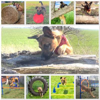 12. Collagen Challenge - Auslastung/Training-Beitrag-Bild