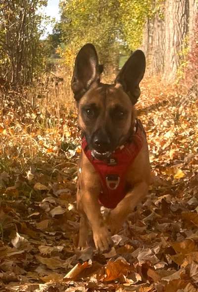 28. Handy-Fotochallenge - Damals und heute-Beitrag-Bild