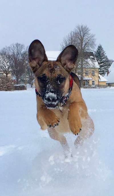 Der erste Schnee, zeigt uns eure tollen Schneemomente-Beitrag-Bild