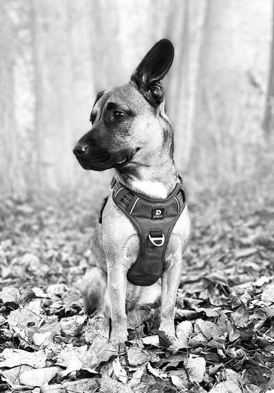 Foto-Challenge 76: Foto in Schwarz-Weiss-Beitrag-Bild