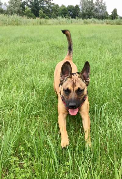 Farben Fotochallenge Thema ,,Grün"-Beitrag-Bild