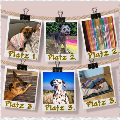 32. Farben Challenge  ** ( BUNTE ) STREIFEN **-Beitrag-Bild