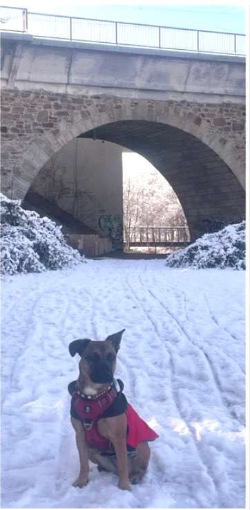 Foto Challenge Thema "Brücke"-Beitrag-Bild