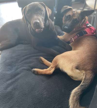 Fotochallenge Nr. 62 Romantische Momente-Beitrag-Bild