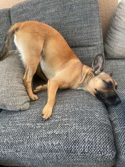 Die unbequemsten und lustigsten Schlafpositionen-Beitrag-Bild