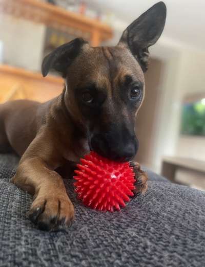 15. Handyfoto Challenge - Indoor Aktivitäten-Beitrag-Bild