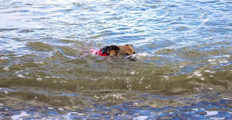 Eure schönsten Fotos mit Wasser-Beitrag-Bild