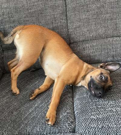 Das beste grinsefoto-Beitrag-Bild